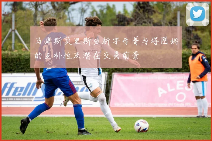 马库斯莫里斯分析字母哥与塔图姆的互补性及潜在交易前景