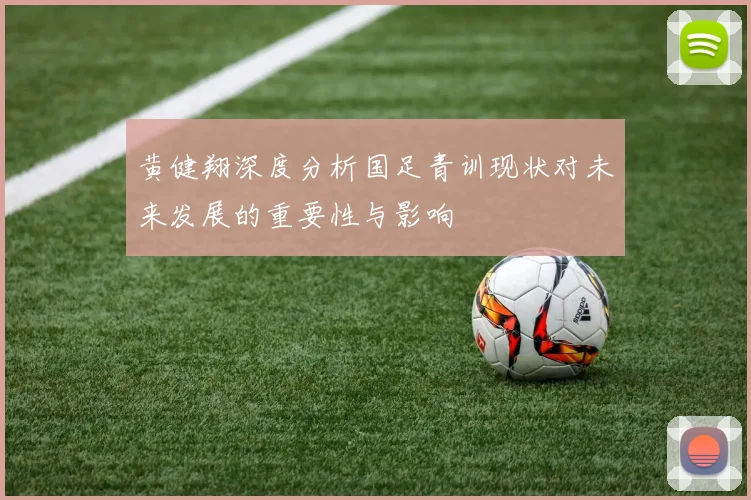 黄健翔深度分析国足青训现状对未来发展的重要性与影响